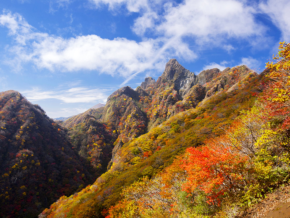 紅葉の根子岳
