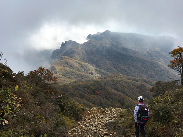 祖母山の紅葉状況
