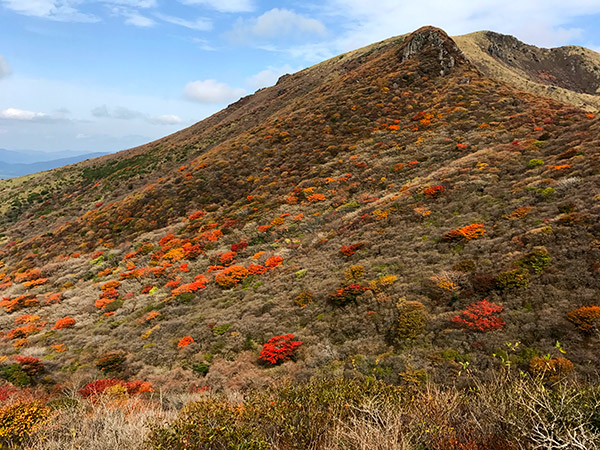 星生山の紅葉