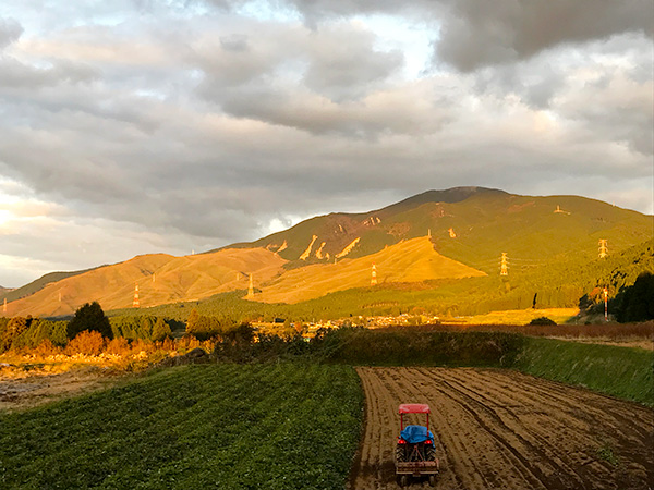 グリンロードからの帰り道　夕日に照らされる俵山