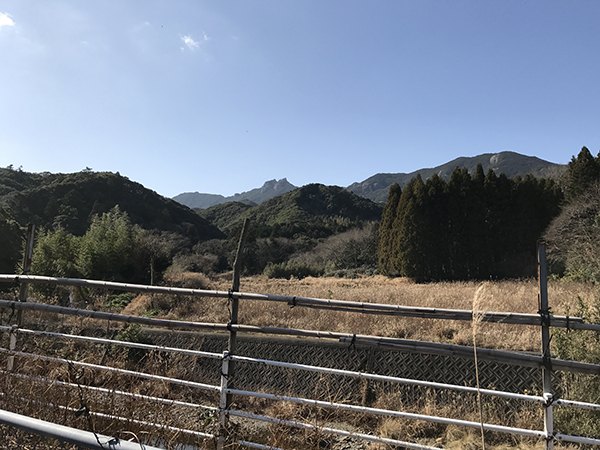 洲藻白嶽