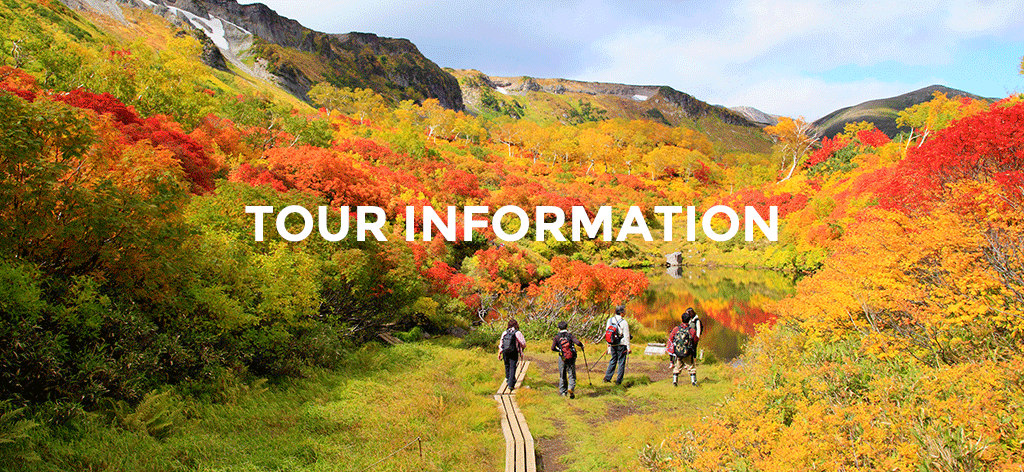 tour information