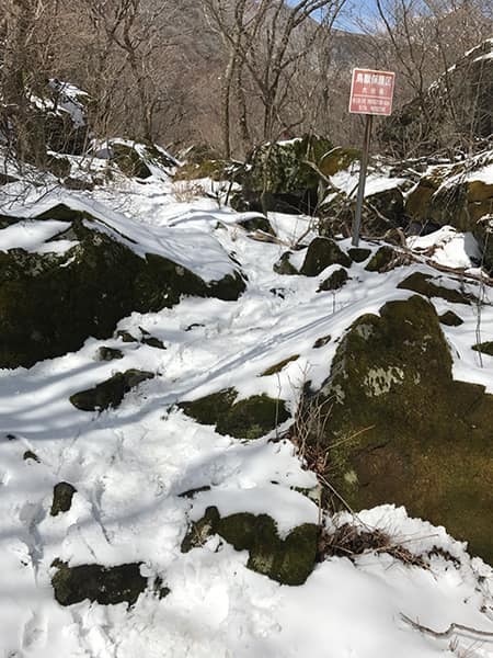 鍋割峠の積雪
