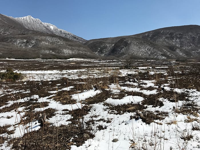 野焼きの終わった坊ガツルと冠雪の大船山