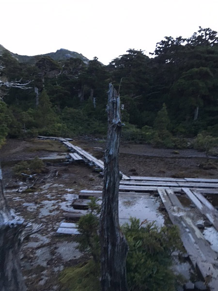 花之江河