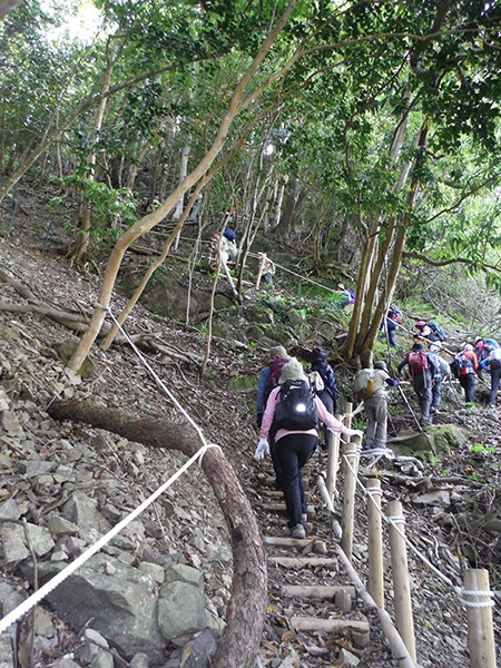 山岳遊歩道を登る