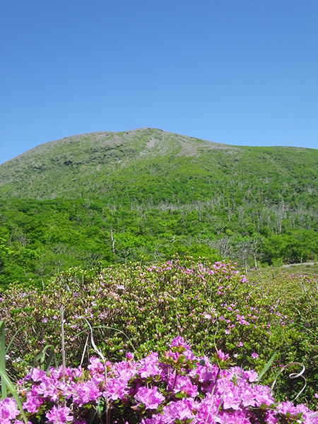鹿ヶ原　中岳をバッグに