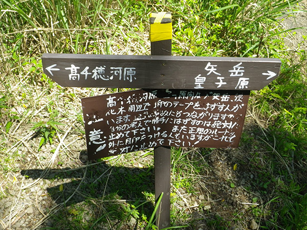 炭化木コース分岐看板