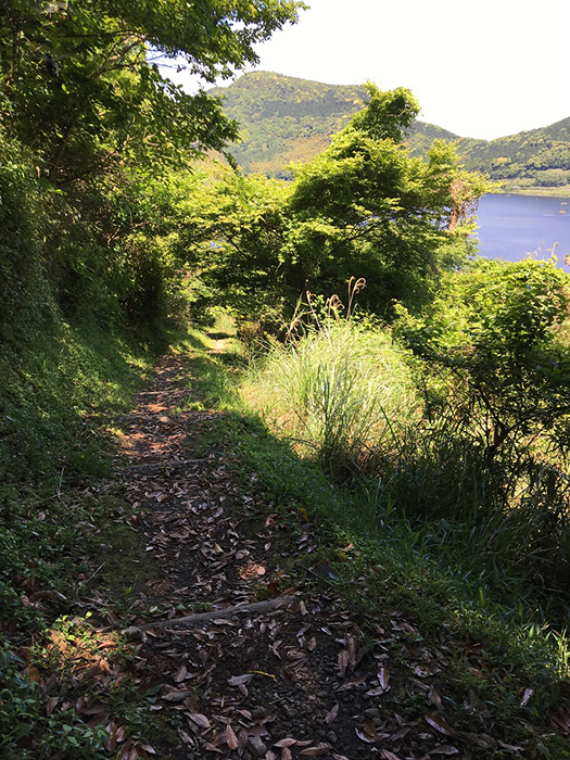 美しく快適な登山道