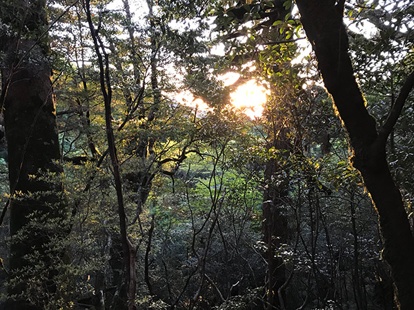 登山開始のご来光