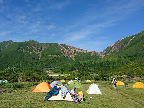 カラフルなテントの坊がツル