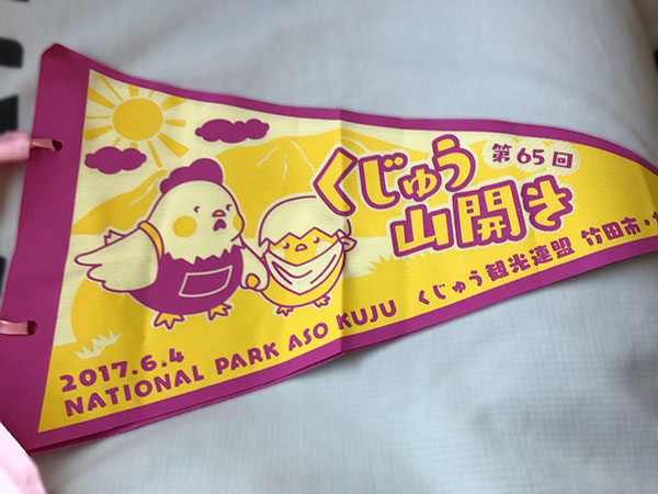 今年の山開き記念ペナント