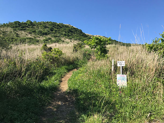 俵山の登山状況2017 ～俵山展望所編～ from熊本本店