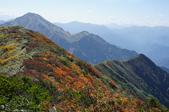 山頂の紅葉