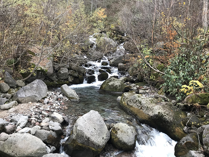 黒沢橋からの黒沢