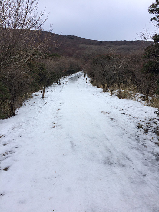 登り始めの舗装路凍っています