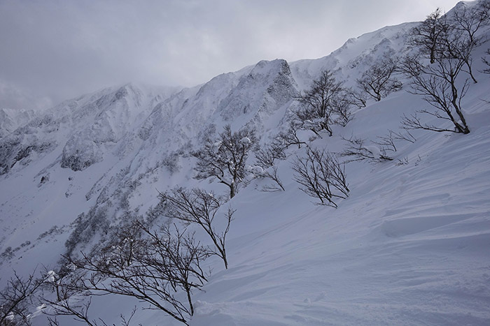 美しい大山