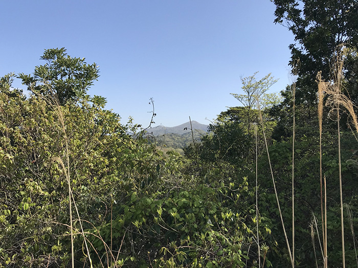 尺岳山頂から福智山を望む  