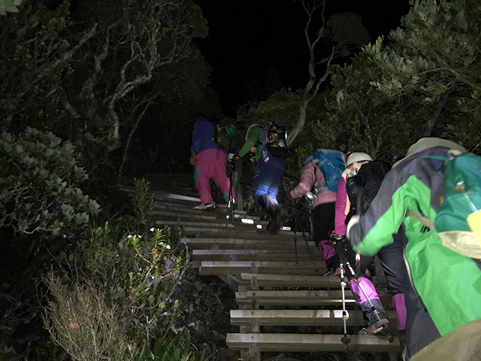 夜中にヘッドランプで登り続ける
