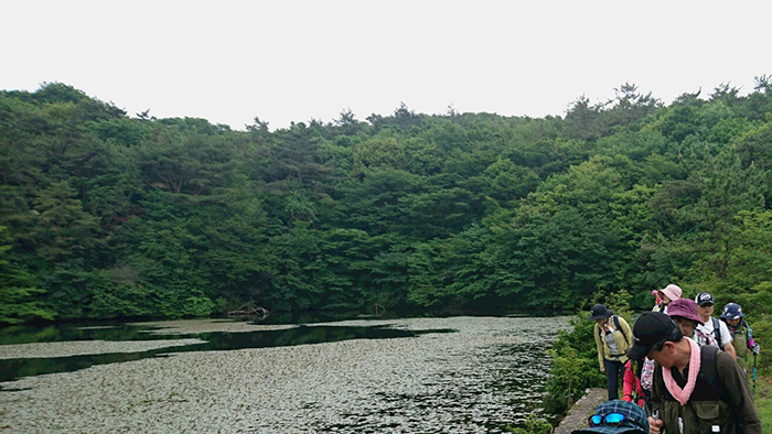 じゅんさい池