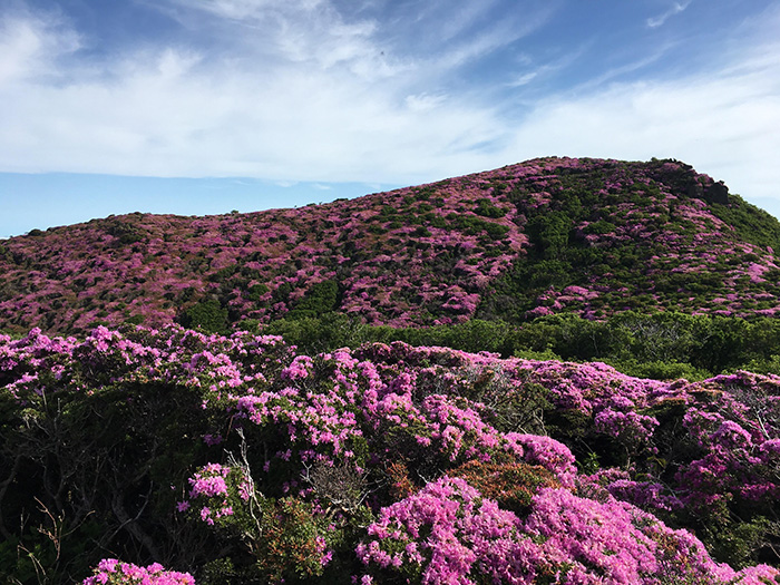 平治岳