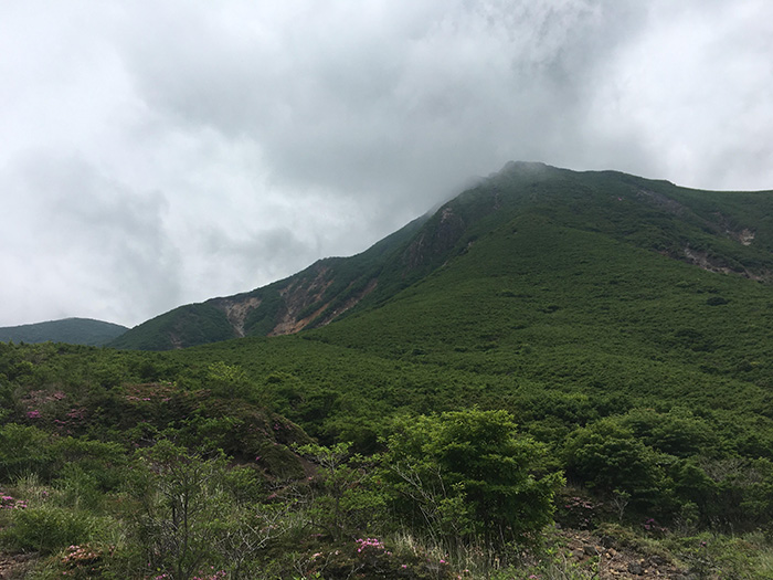 白口岳