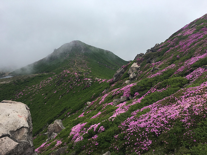 中岳